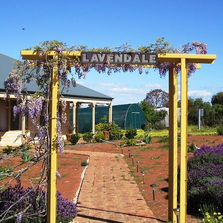 Lavendale Country Retreat York Exterior foto
